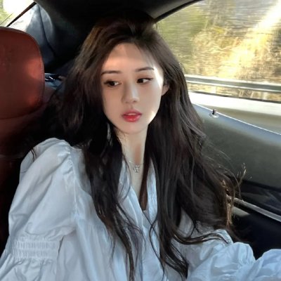 狗狗与我的十个约定